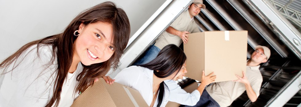 Professional Removalists Daleys Point